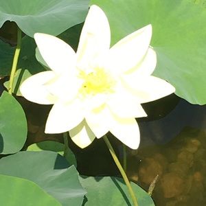 Meet your Posher, Stacey